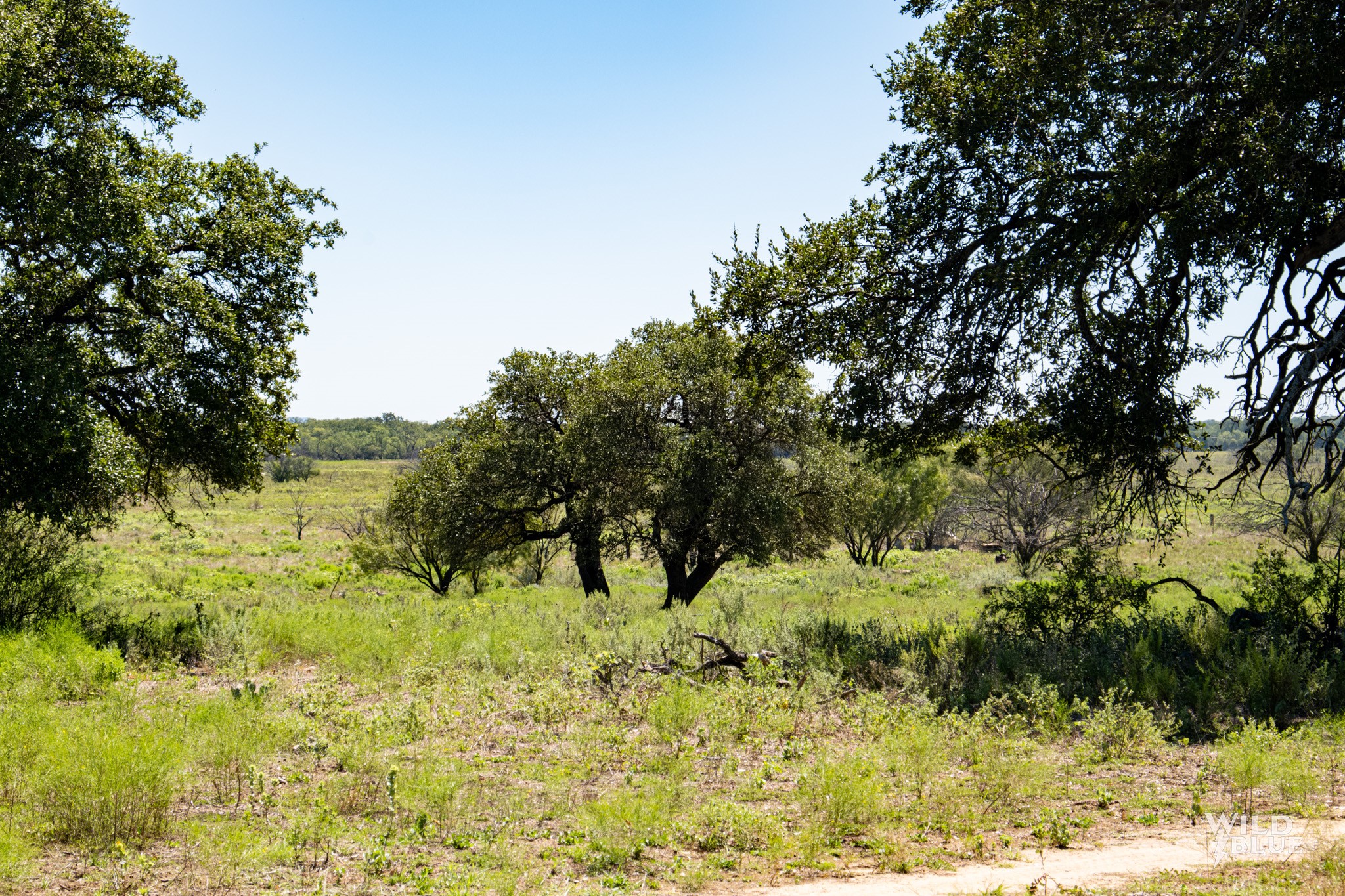 Tbd County Road 428 Rising Star TX 76471