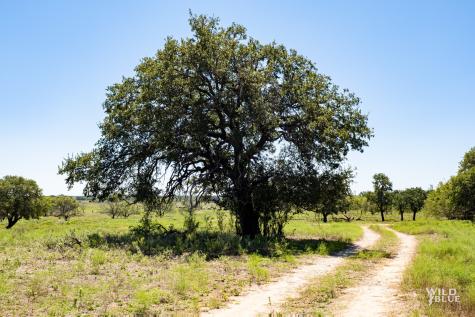 Tbd County Road 428 Rising Star TX 76471