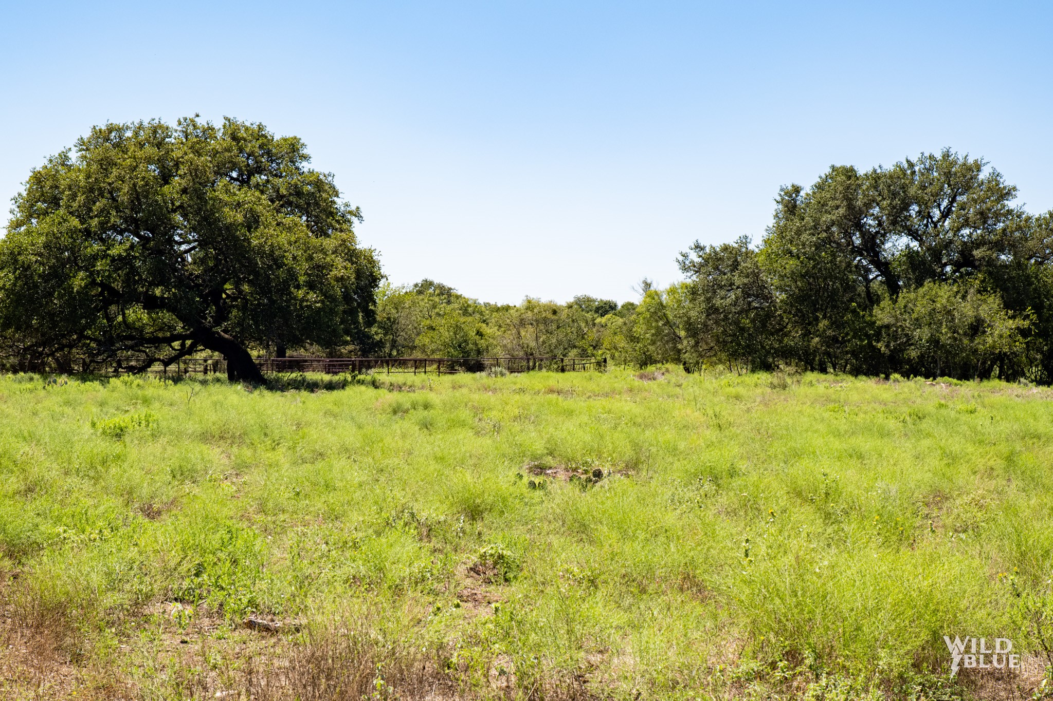Tbd County Road 428 Rising Star TX 76471