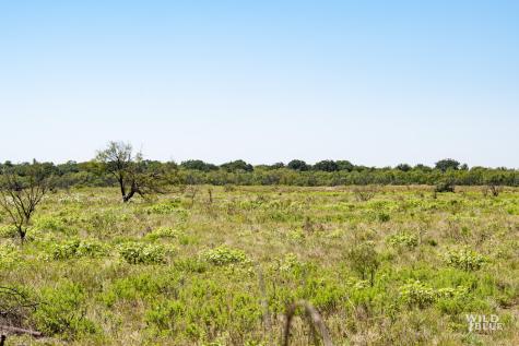 Tbd County Road 428 Rising Star TX 76471