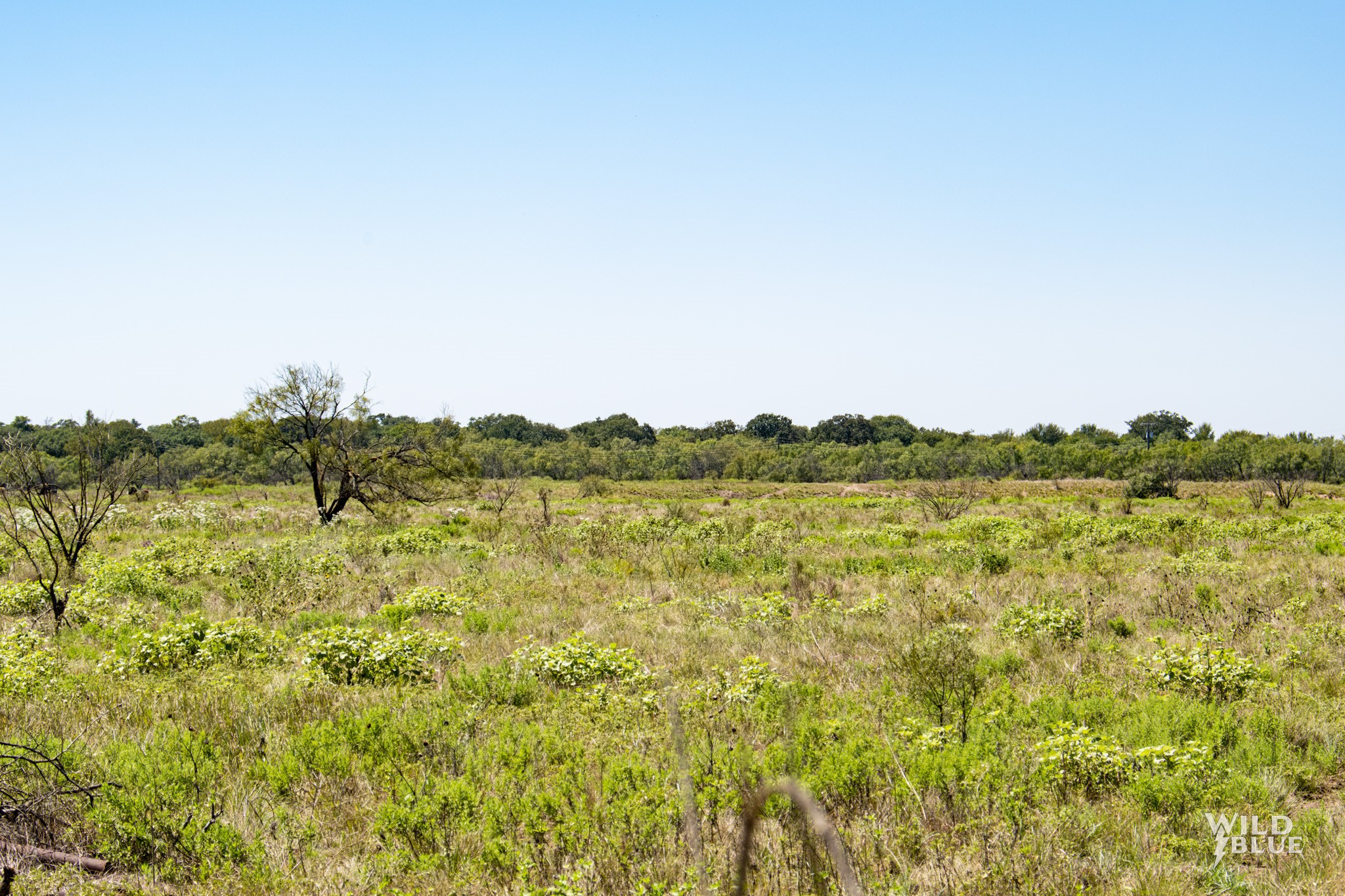 Tbd County Road 428 Rising Star TX 76471