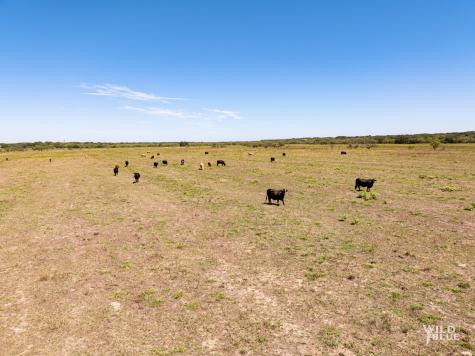 Tbd County Road 428 Rising Star TX 76471