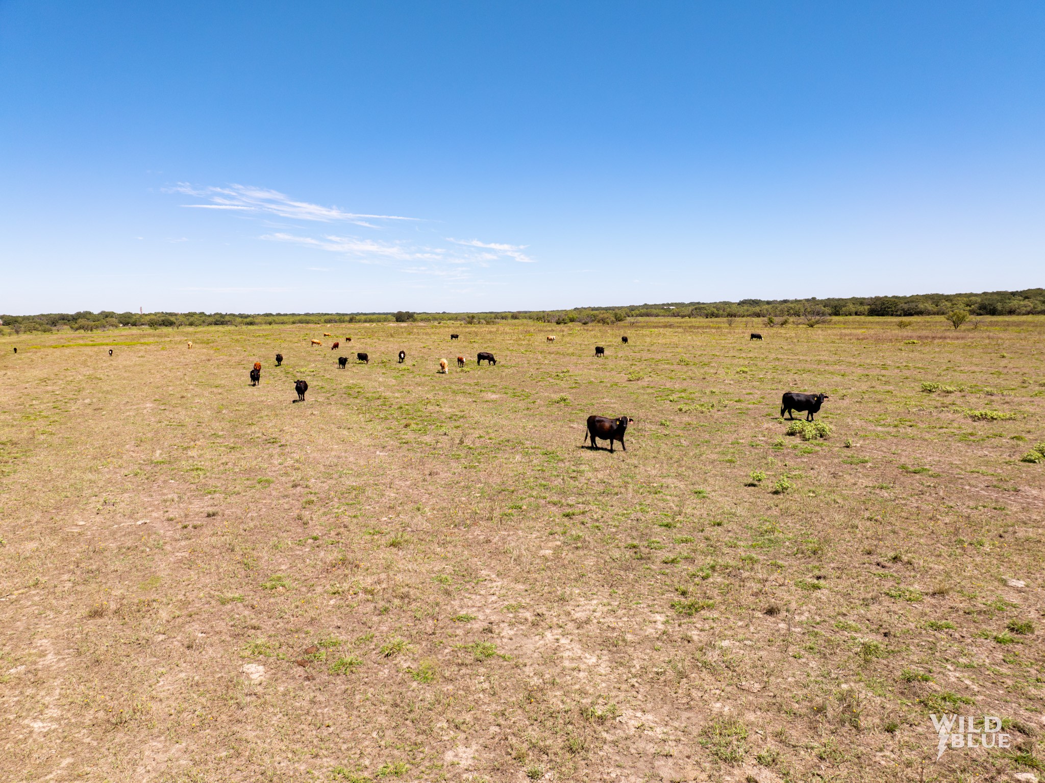 Tbd County Road 428 Rising Star TX 76471