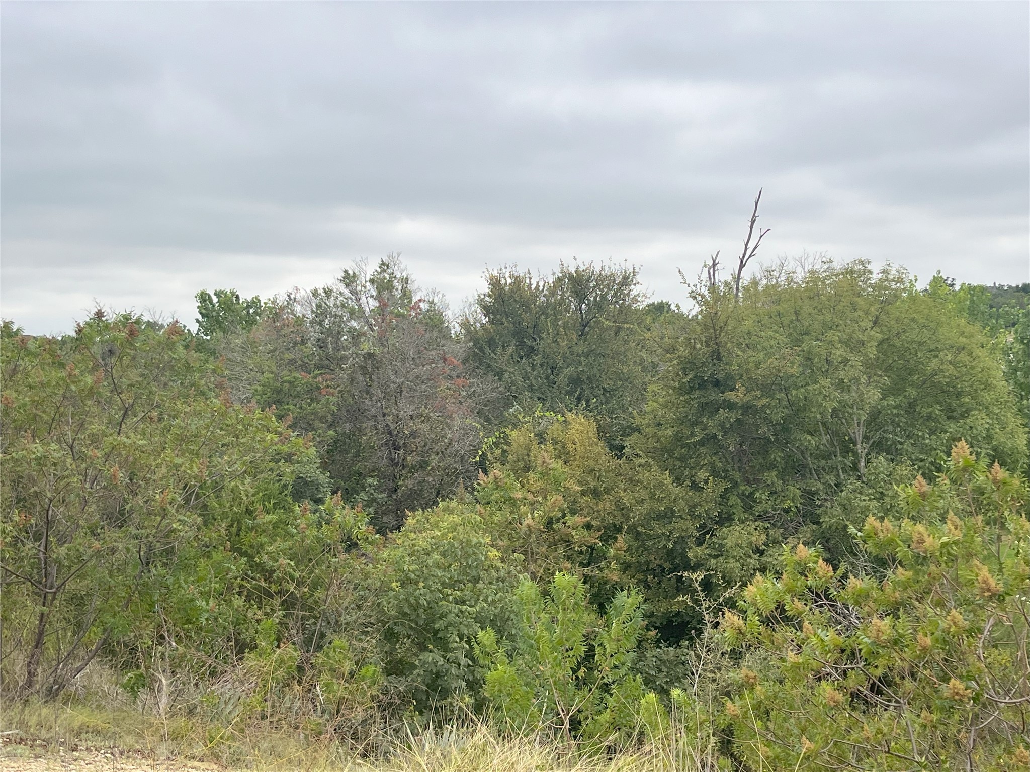 1127 Eagles Bluff Drive Weatherford TX 76087