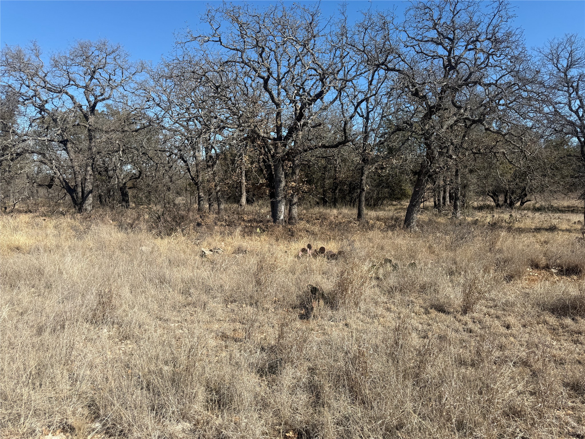 Tbd Cheryl Street Brownwood TX 76801