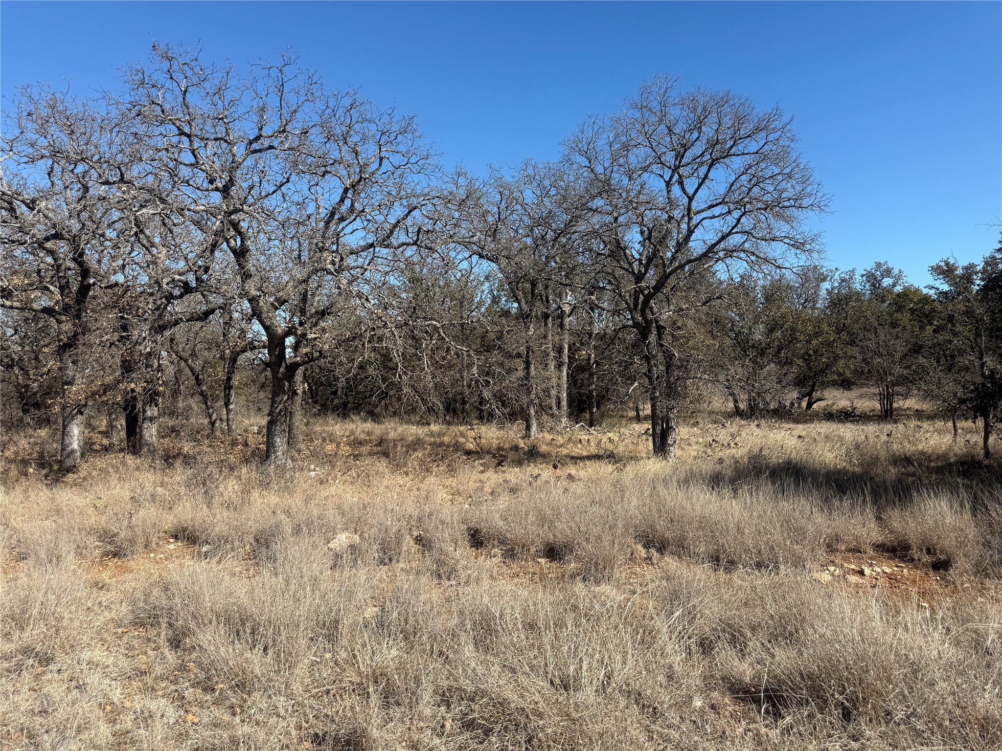 Tbd Cheryl Street Brownwood TX 76801