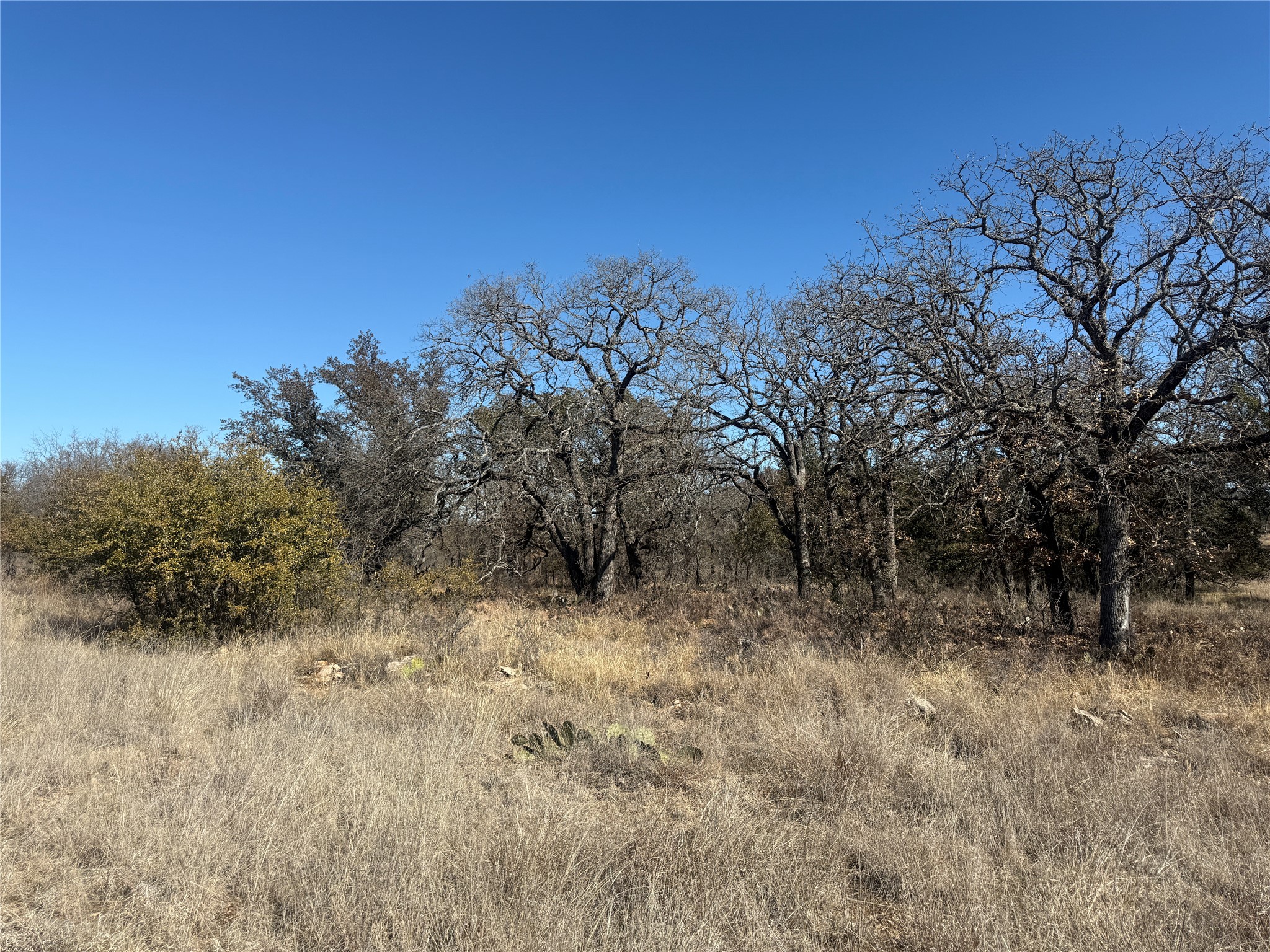 Tbd Cheryl Street Brownwood TX 76801