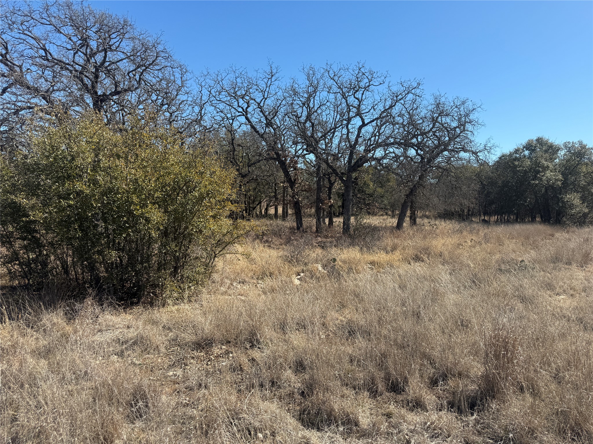 Tbd Cheryl Street Brownwood TX 76801