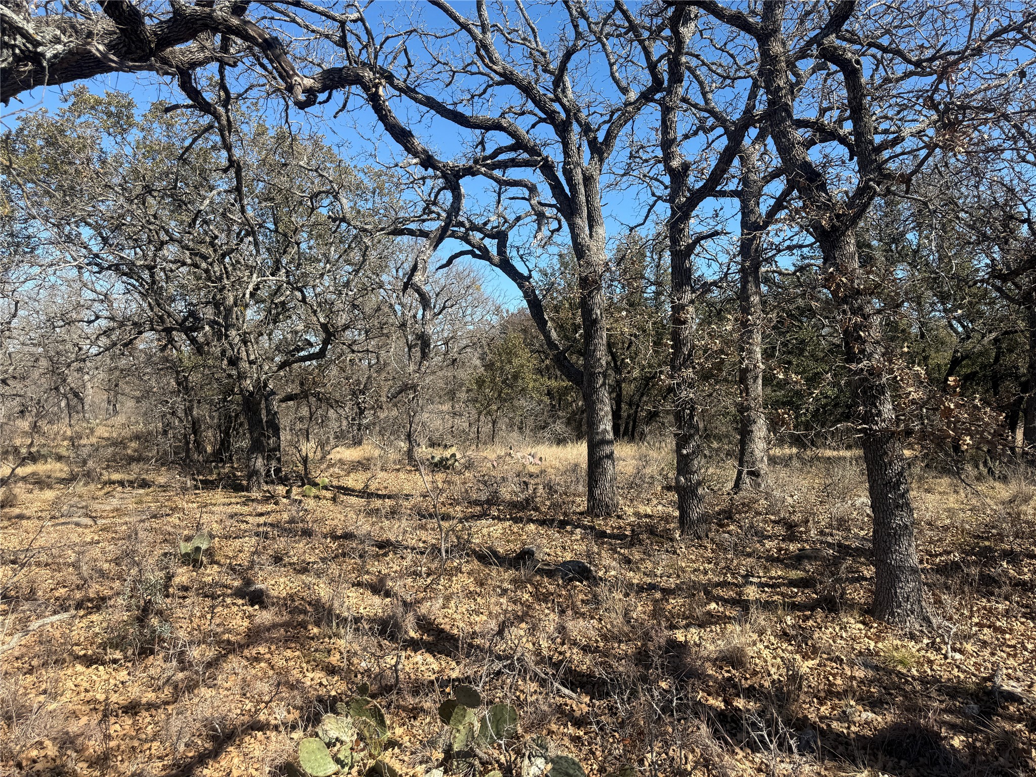 Tbd Cheryl Street Brownwood TX 76801