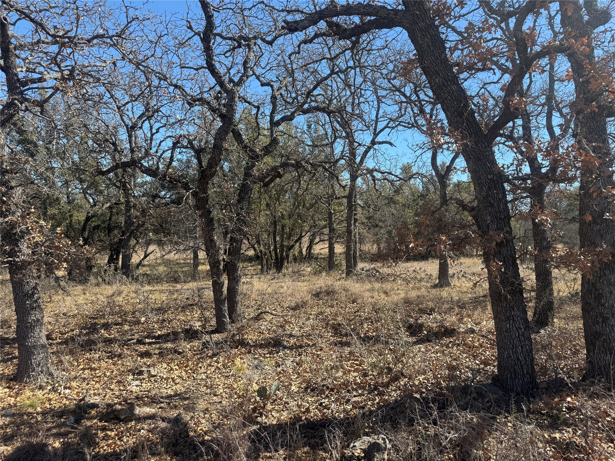Tbd Cheryl Street Brownwood TX 76801