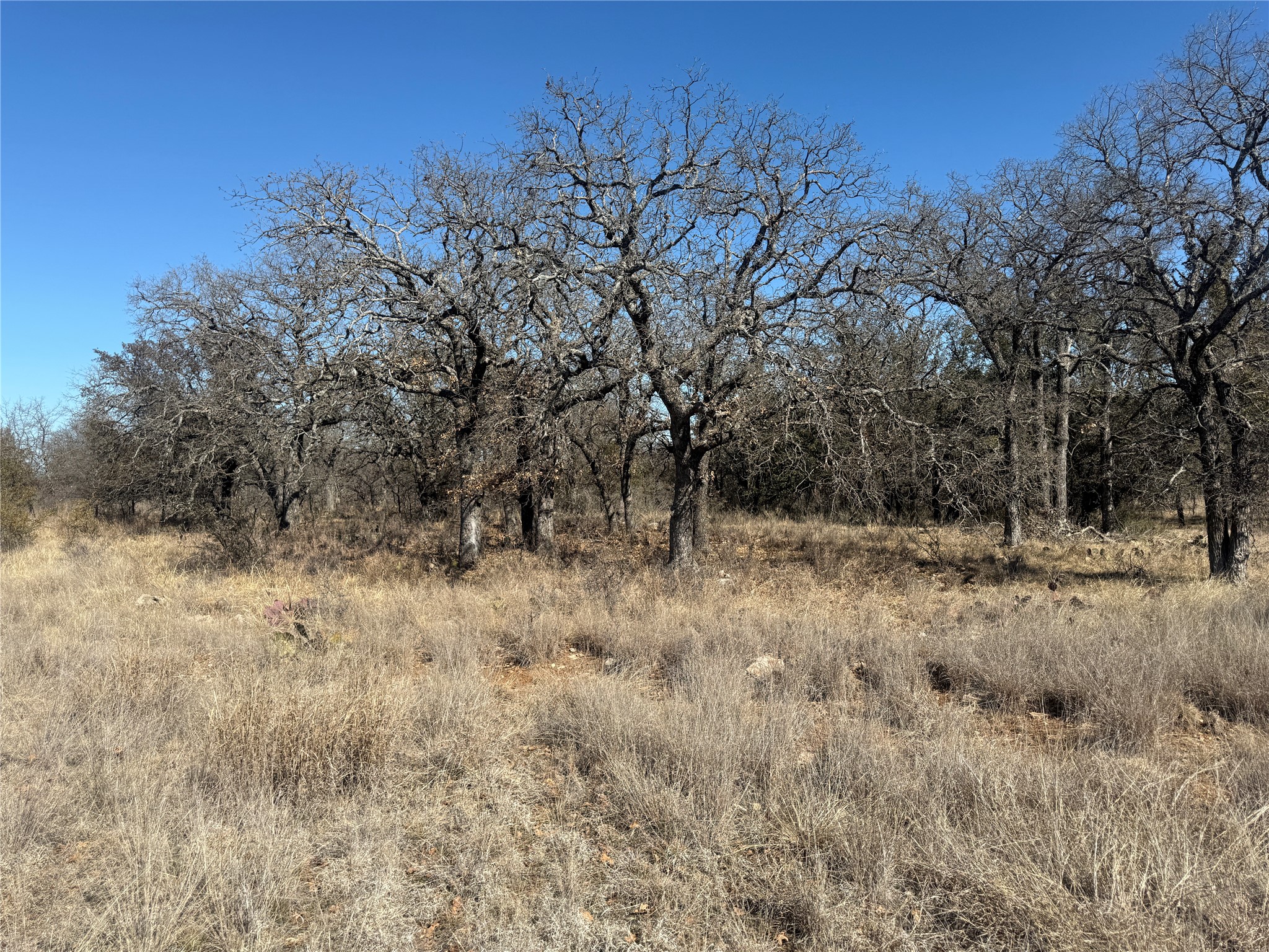 Tbd Cheryl Street Brownwood TX 76801