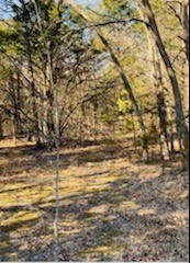 8000 County Road 301 Terrell TX 75160