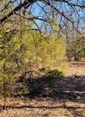 8000 County Road 301 Terrell TX 75160
