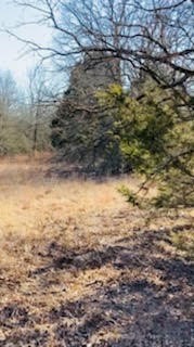 8000 County Road 301 Terrell TX 75160