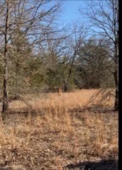 8000 County Road 301 Terrell TX 75160