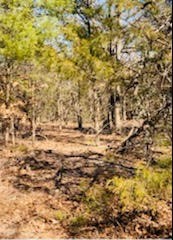 8000 County Road 301 Terrell TX 75160