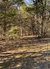 8000 County Road 301 Terrell TX 75160