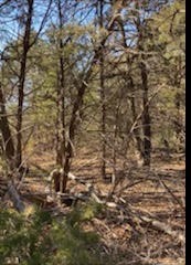 8000 County Road 301 Terrell TX 75160