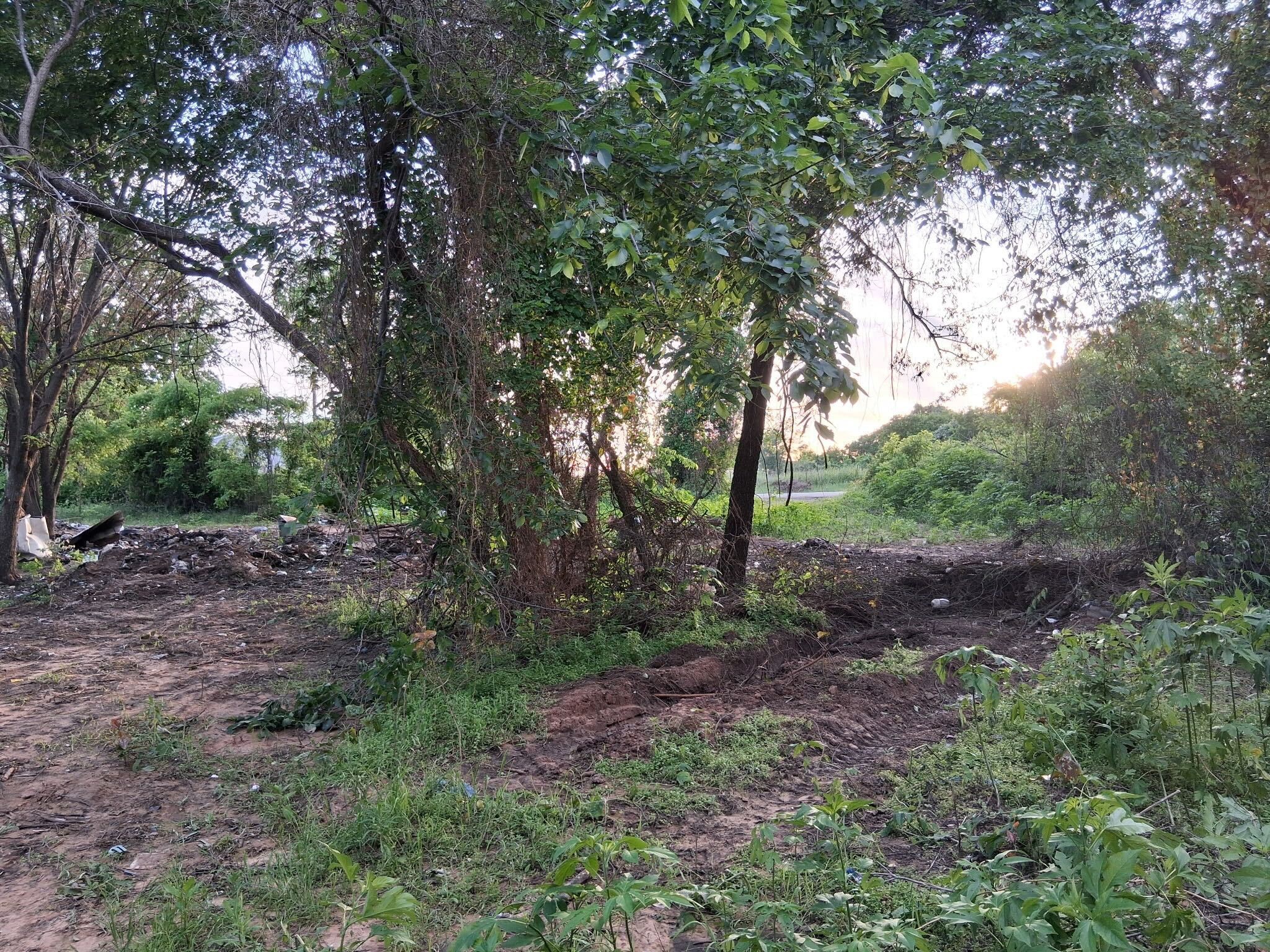 1247 County Road 4590 Boyd TX 76023