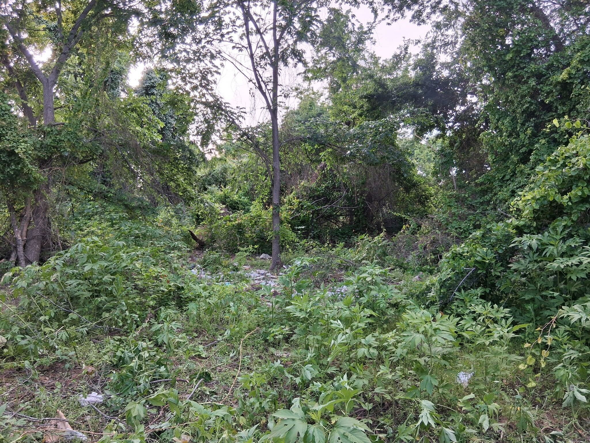 1247 County Road 4590 Boyd TX 76023