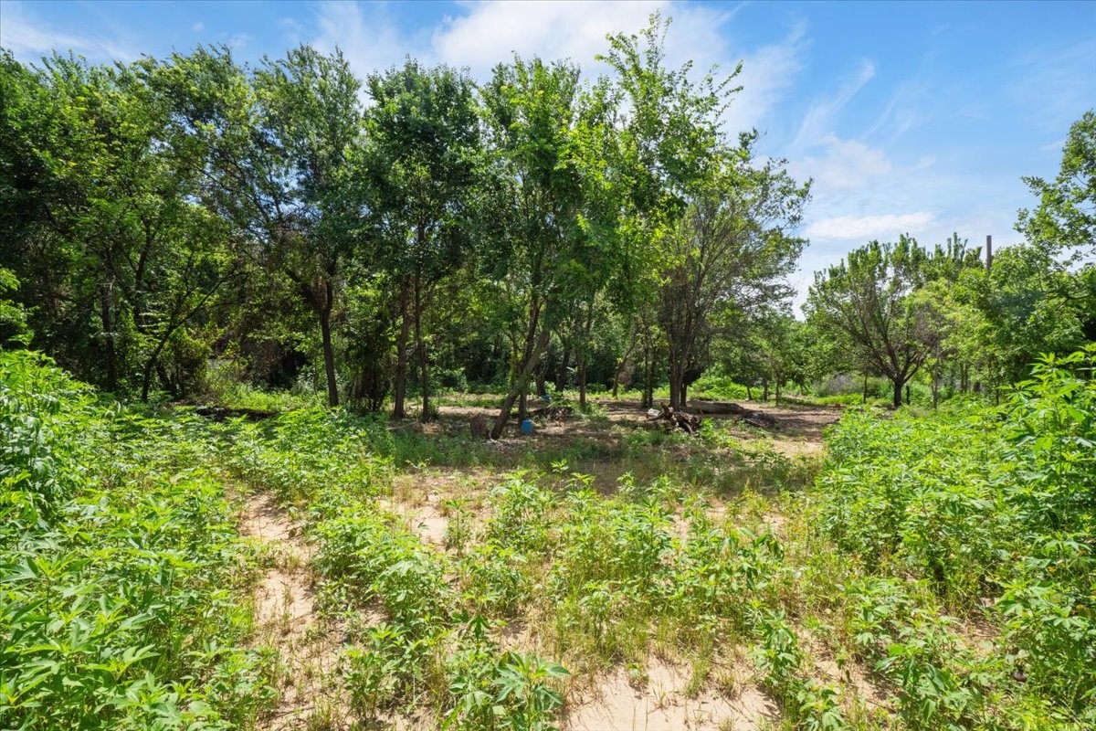 1247 County Road 4590 Boyd TX 76023