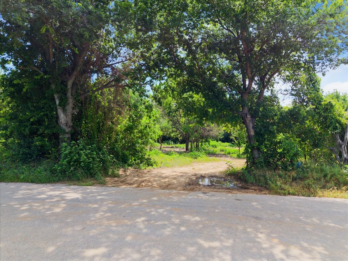 1247 County Road 4590 Boyd TX 76023