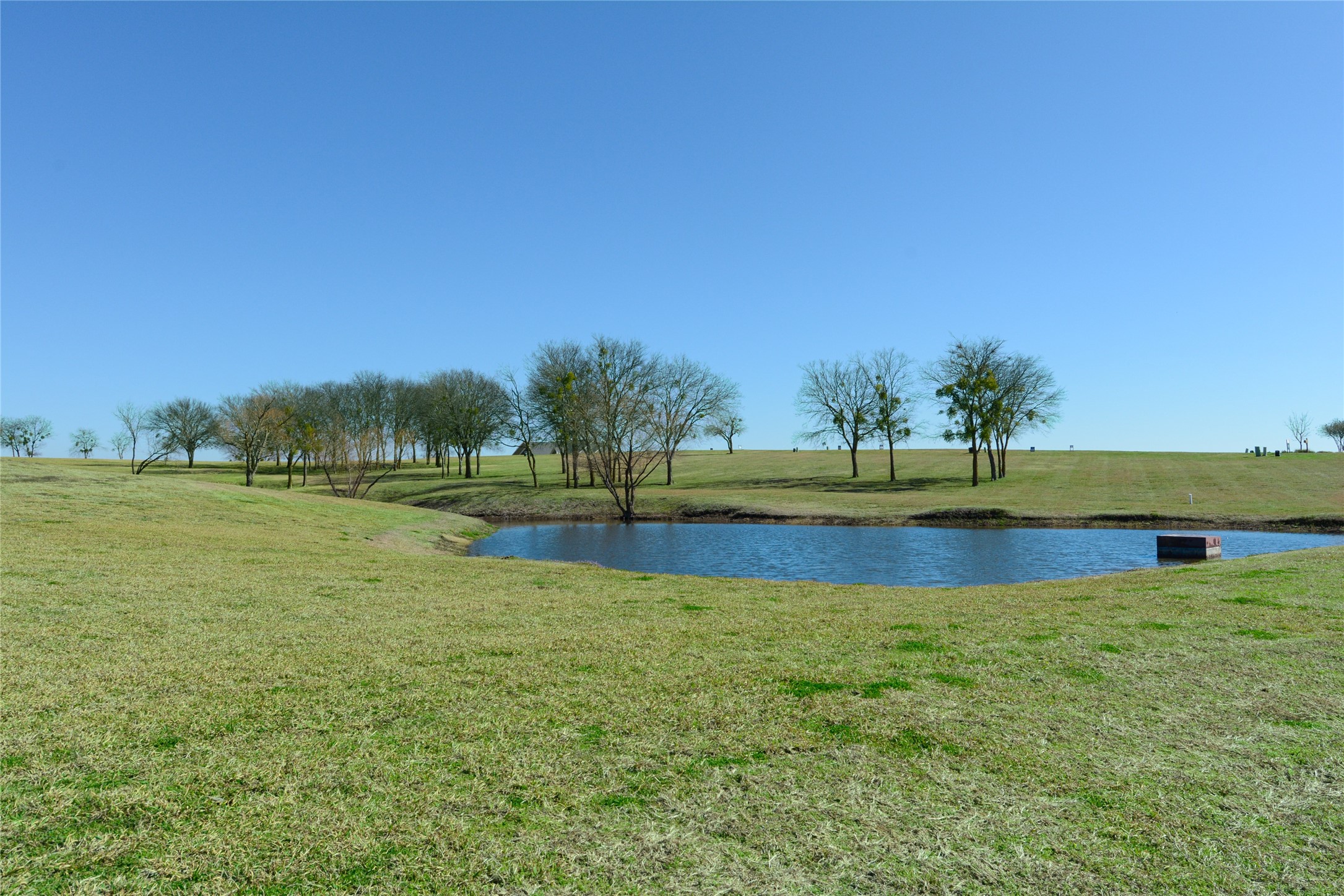 245 See Forever Kemp TX 75143