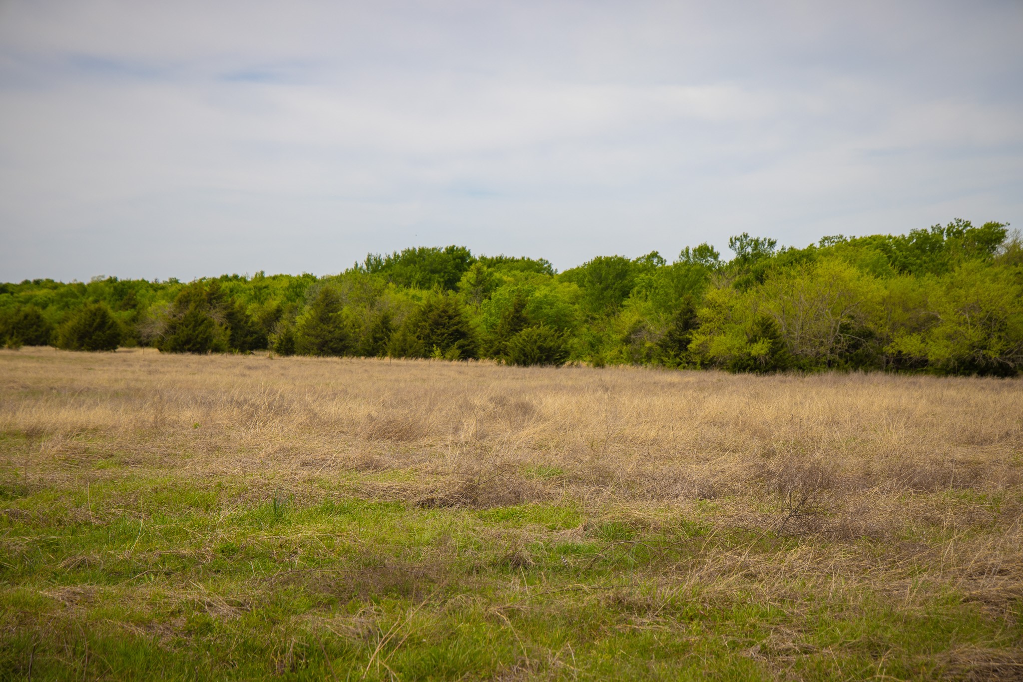 Lot 1 Pr 291 Dodd City TX 75438