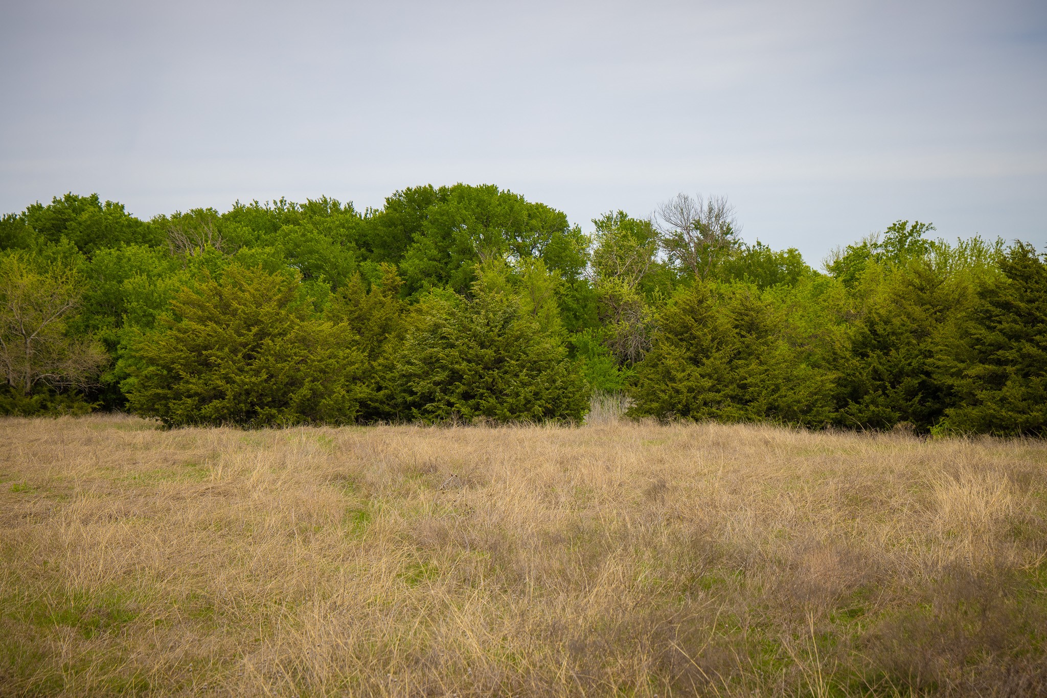 Lot 1 Pr 291 Dodd City TX 75438