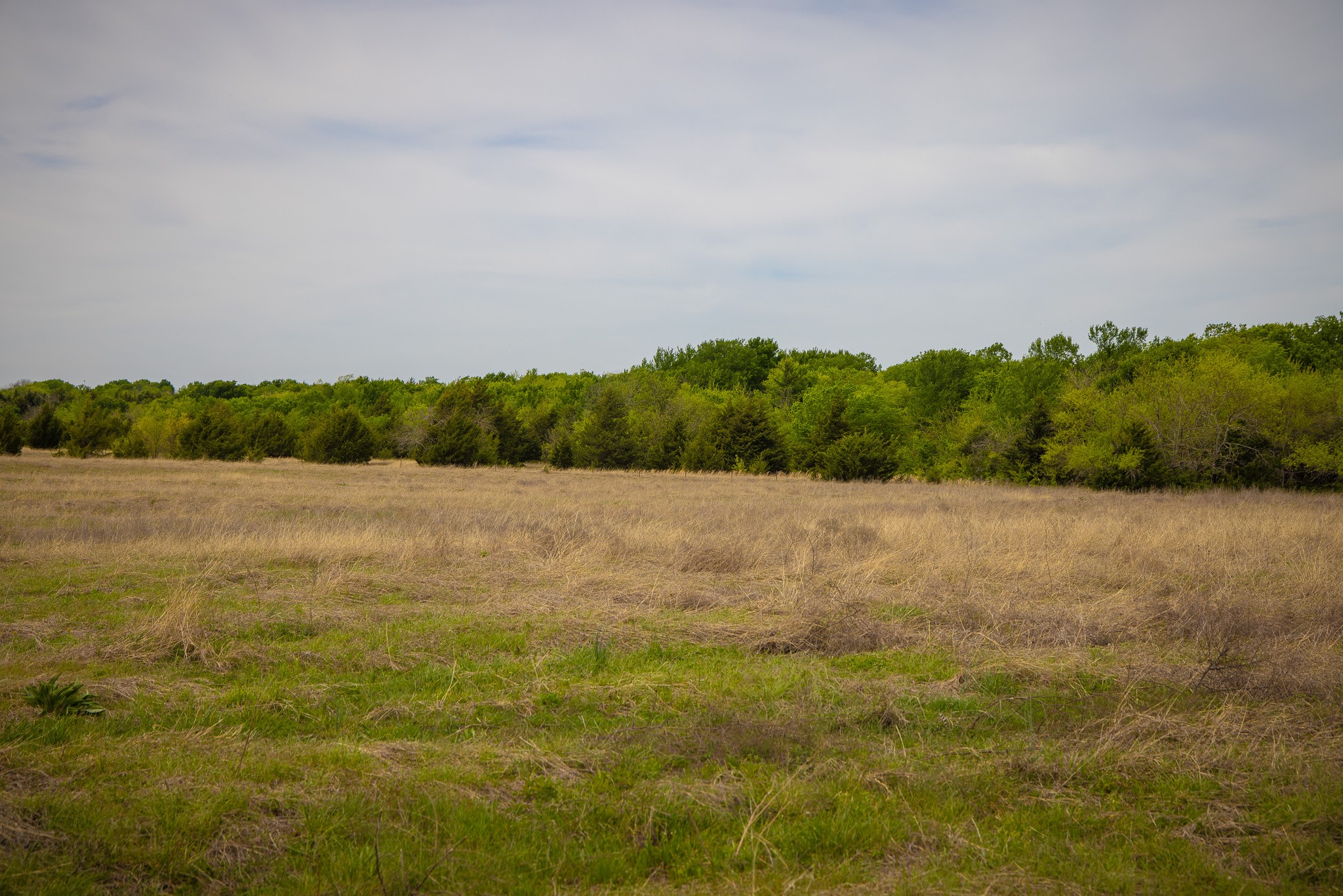 Lot 1 Pr 291 Dodd City TX 75438