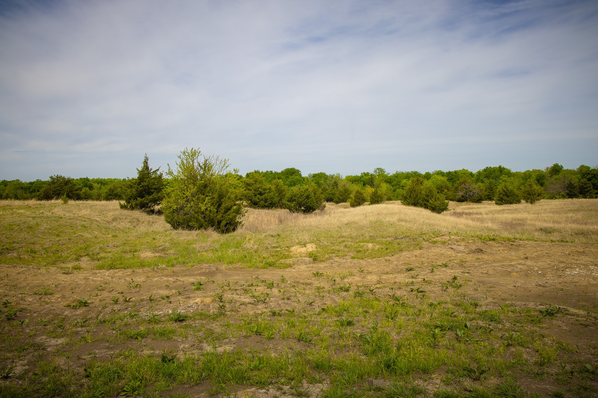 Lot 1 Pr 291 Dodd City TX 75438