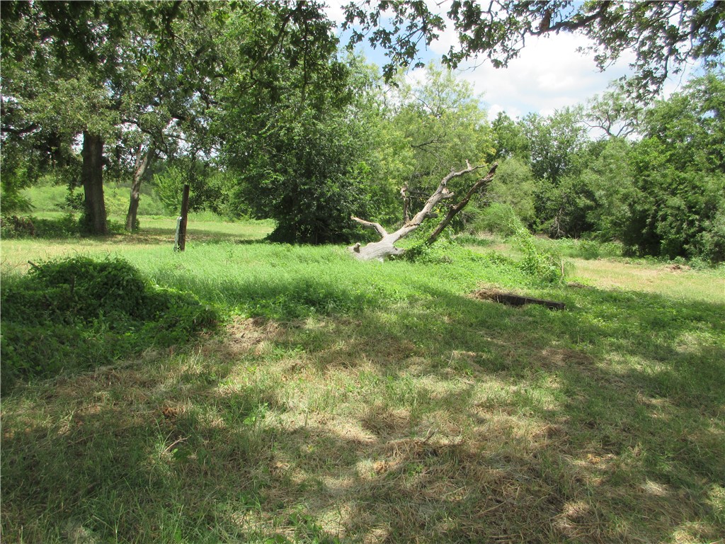 00 Roosevelt Street Marlin TX 76661