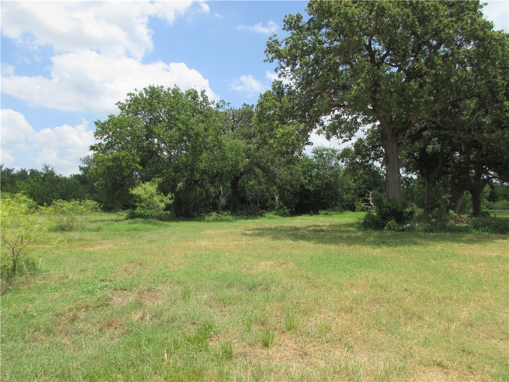 00 Roosevelt Street Marlin TX 76661
