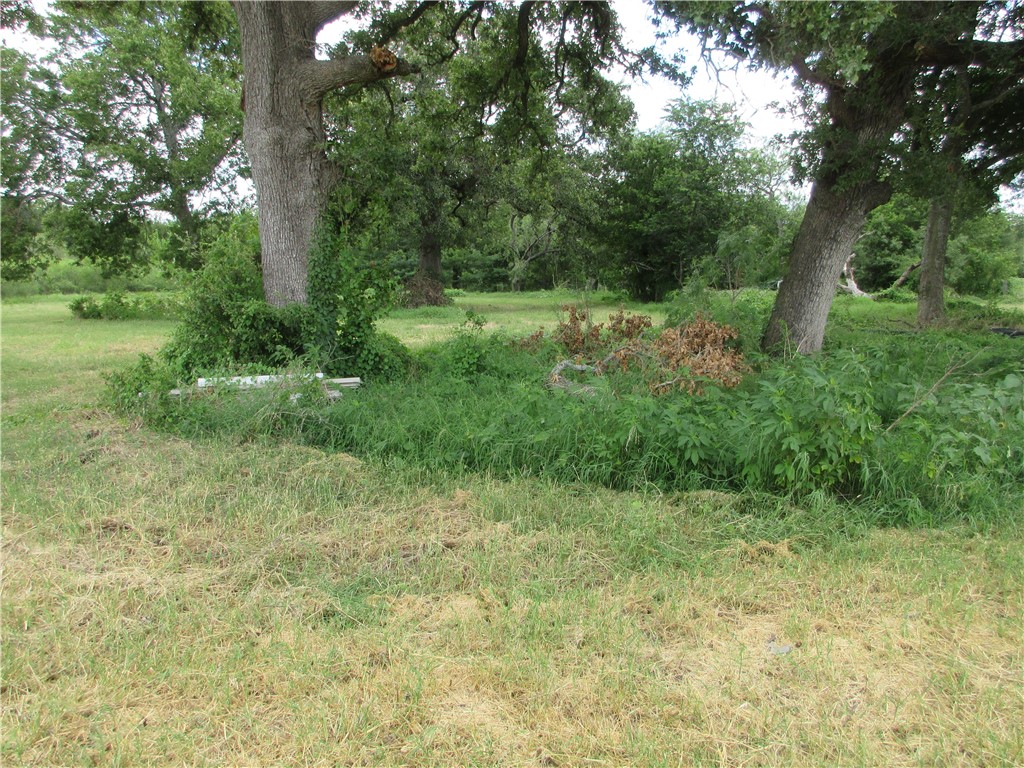 00 Roosevelt Street Marlin TX 76661