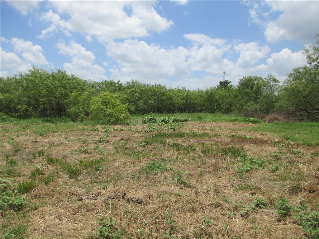 00 Roosevelt Street Marlin TX 76661