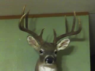 324 Pr 2621 Santa Anna TX 76878