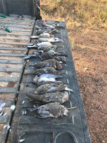 324 Pr 2621 Santa Anna TX 76878