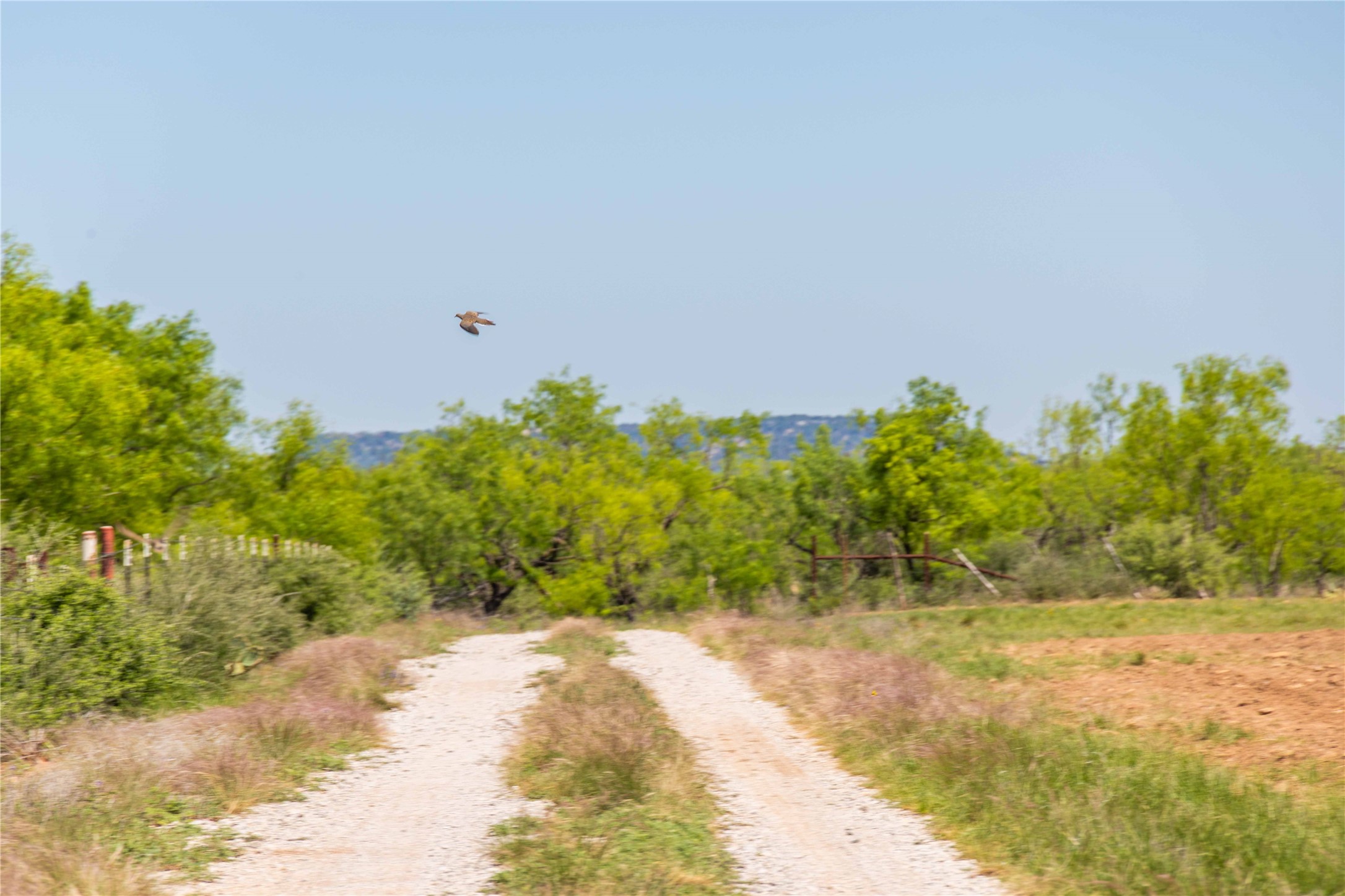 324 Pr 2621 Santa Anna TX 76878