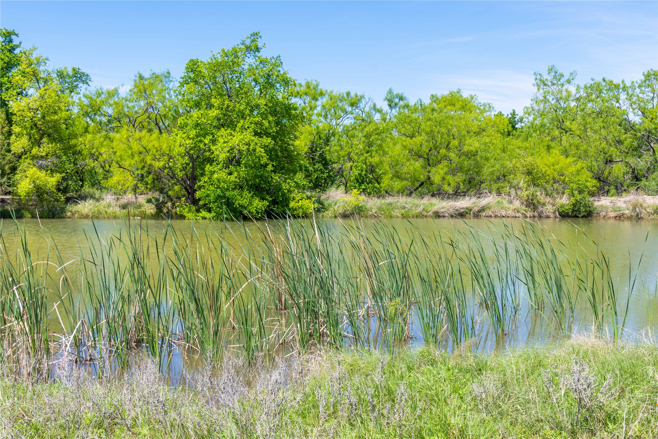 324 Pr 2621 Santa Anna TX 76878