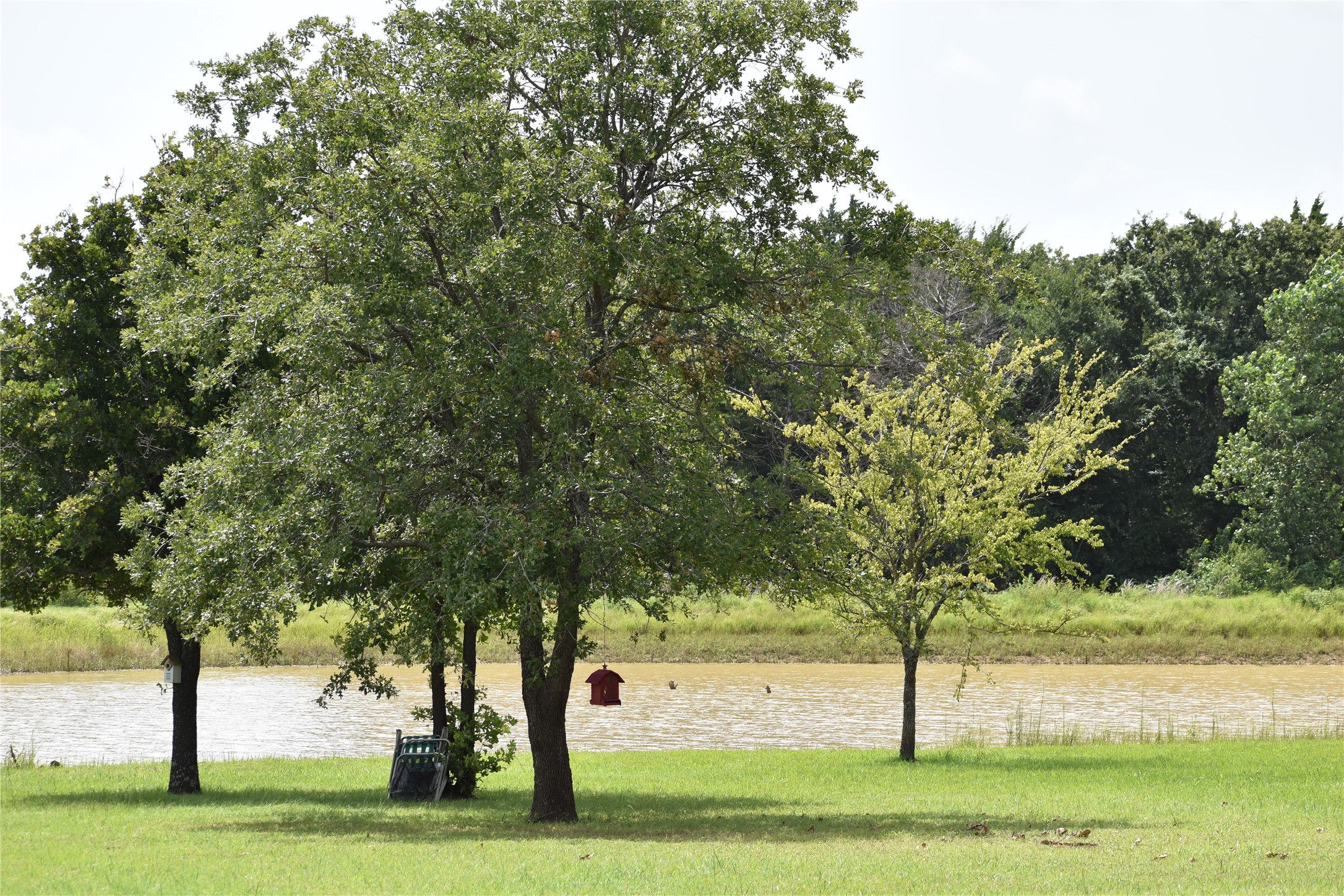 4787 Cr 106 Whitesboro TX 76273