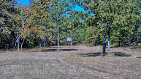 4787 Cr 106 Whitesboro TX 76273