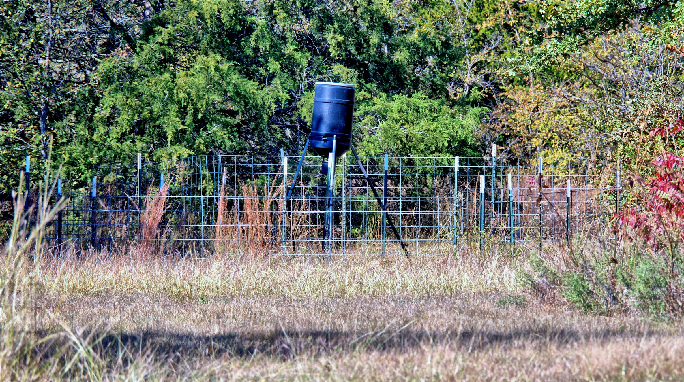 4787 Cr 106 Whitesboro TX 76273