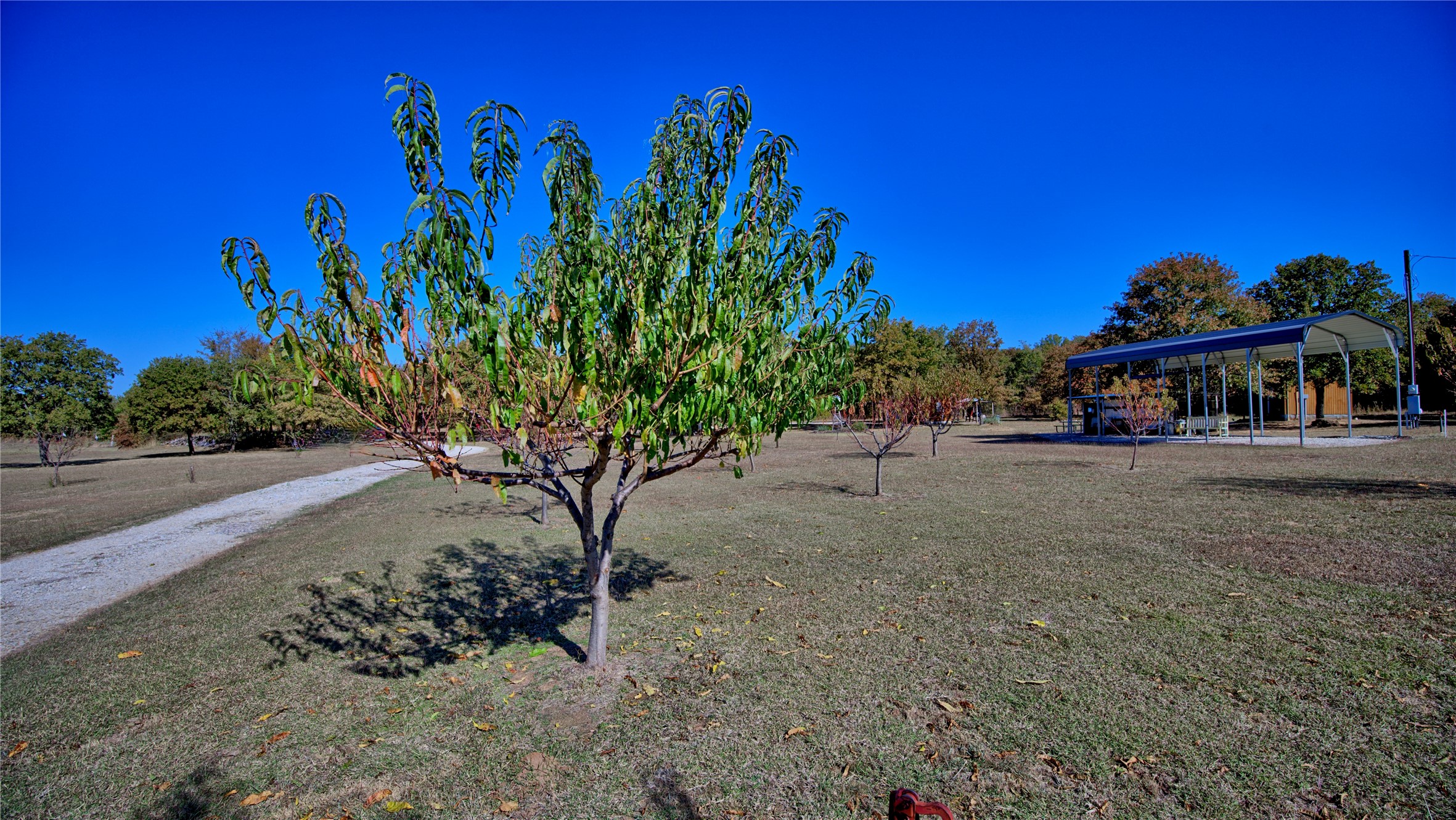 4787 Cr 106 Whitesboro TX 76273