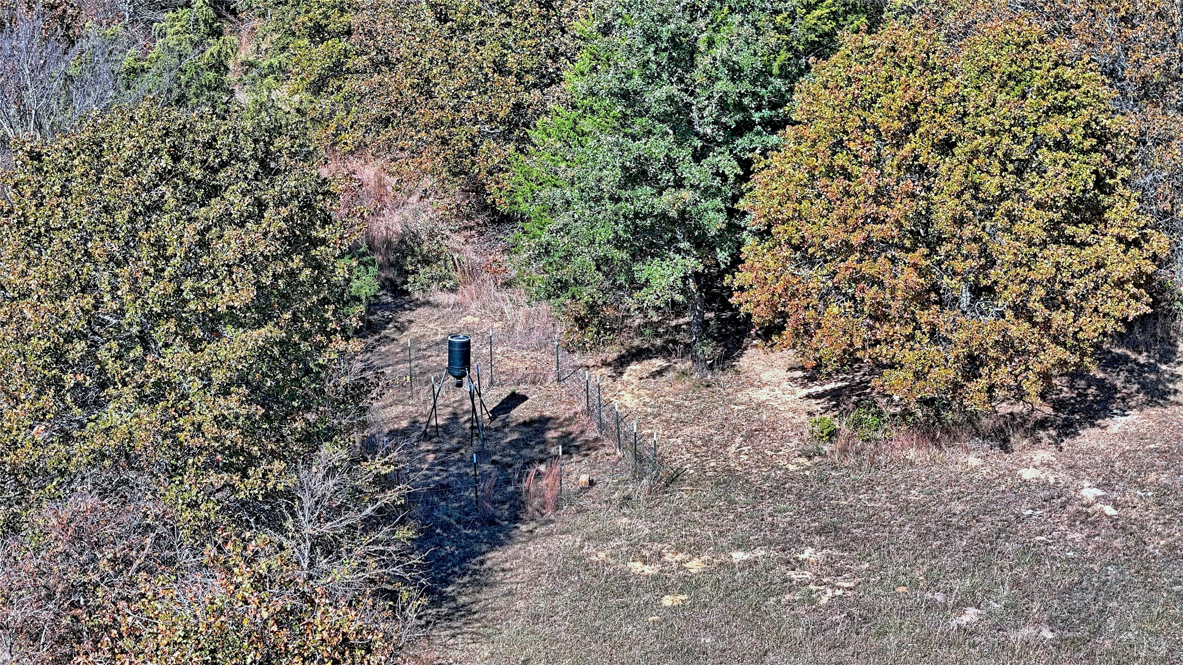 4787 Cr 106 Whitesboro TX 76273