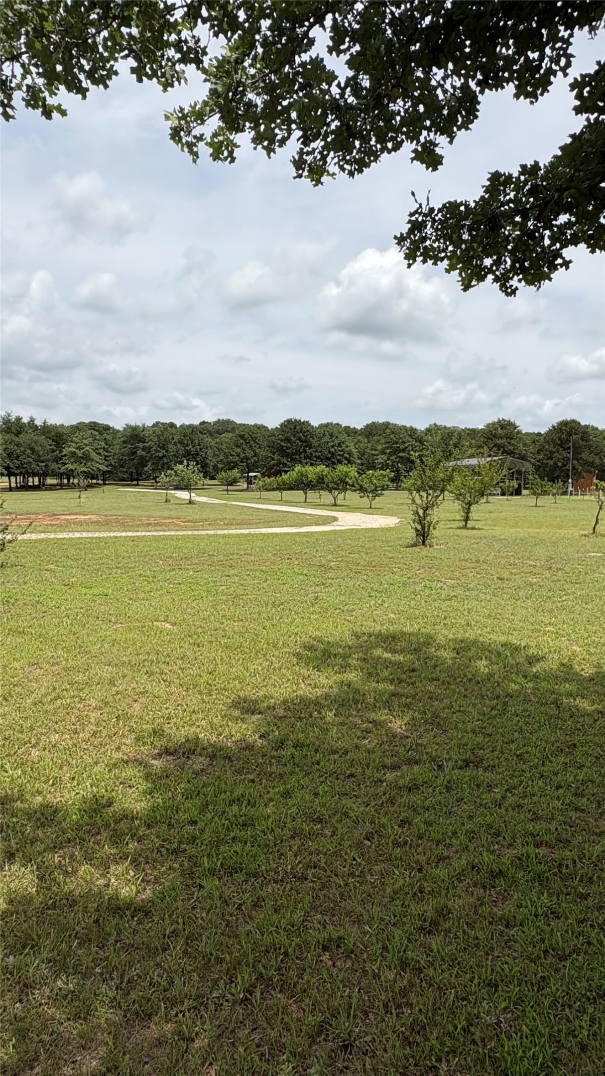 4787 Cr 106 Whitesboro TX 76273