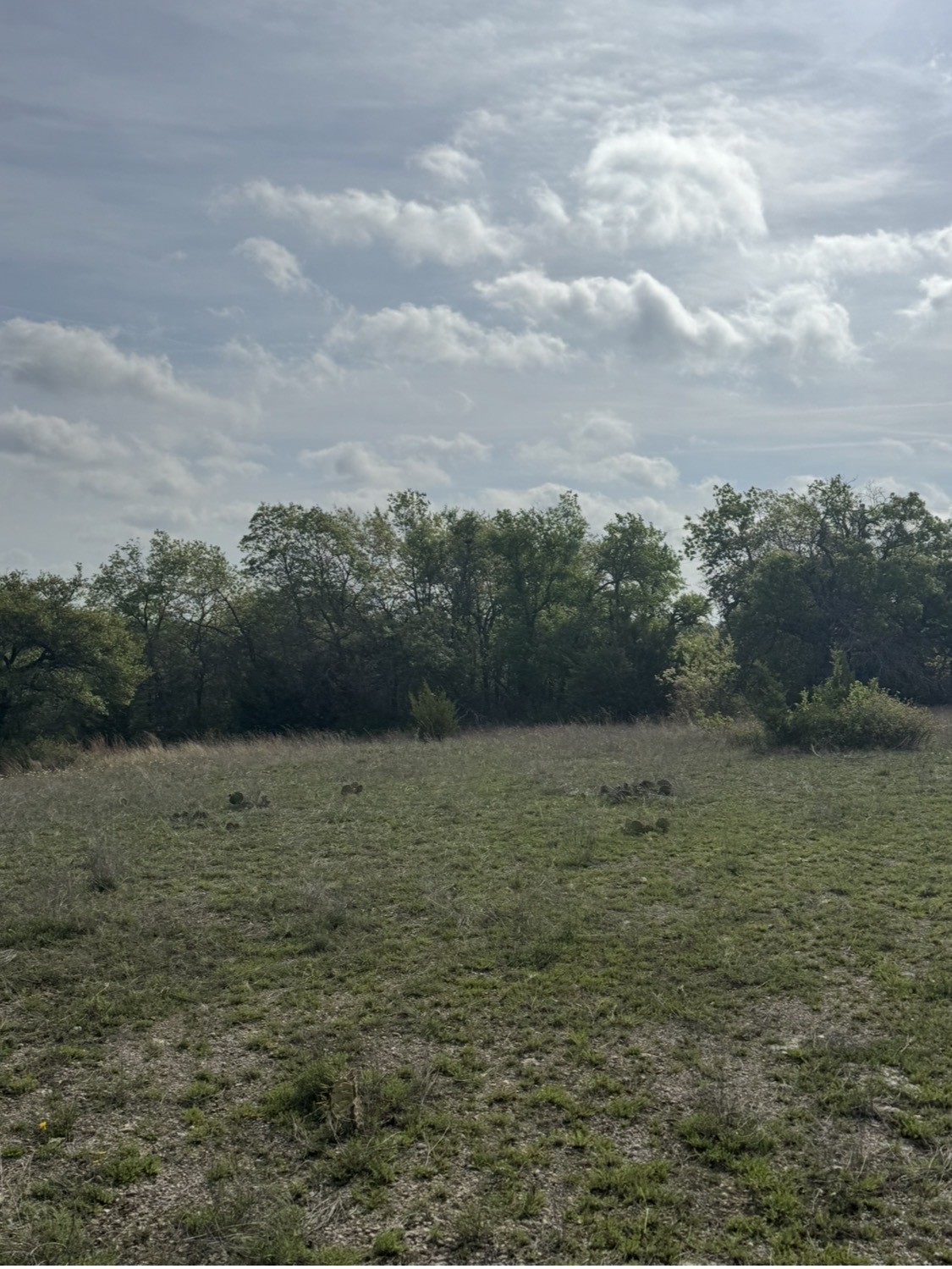 1016 Spring Ranch Drive Weatherford TX 76088