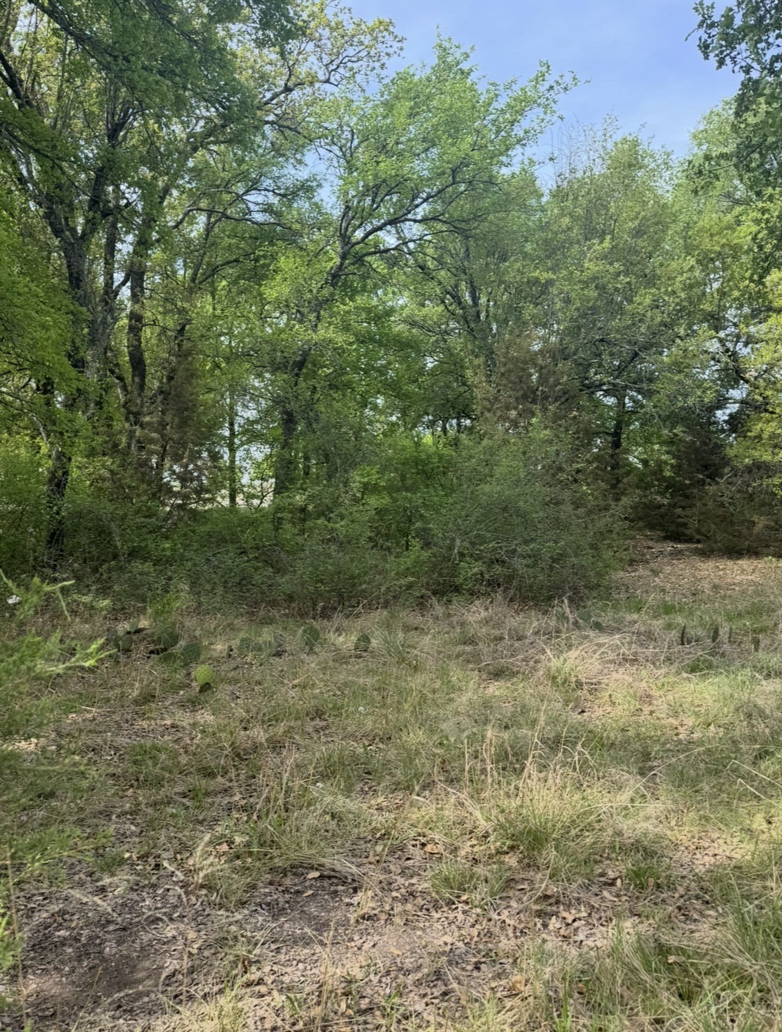 1016 Spring Ranch Drive Weatherford TX 76088
