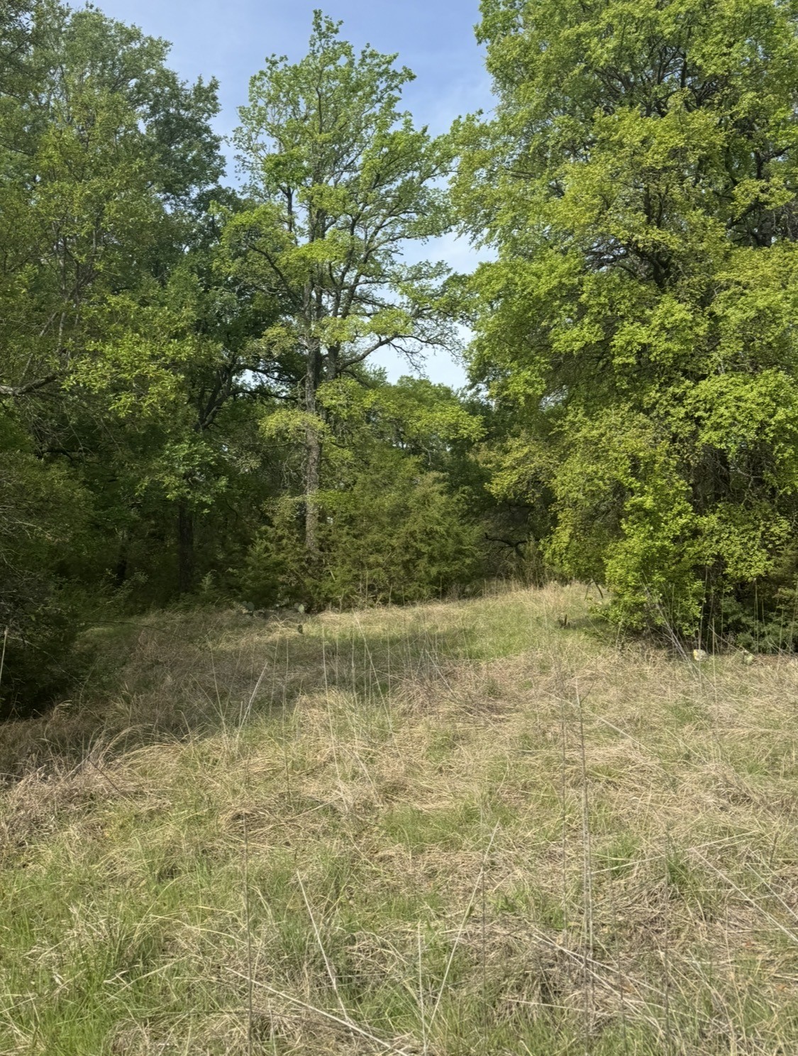 1016 Spring Ranch Drive Weatherford TX 76088