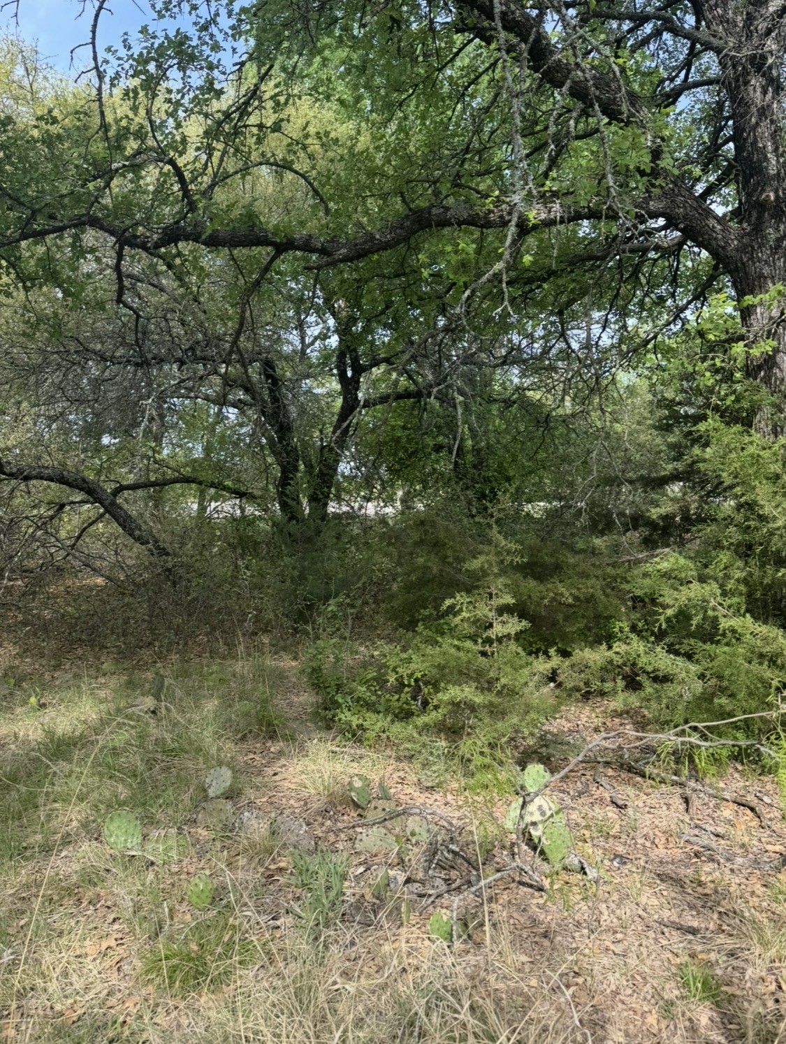 1016 Spring Ranch Drive Weatherford TX 76088