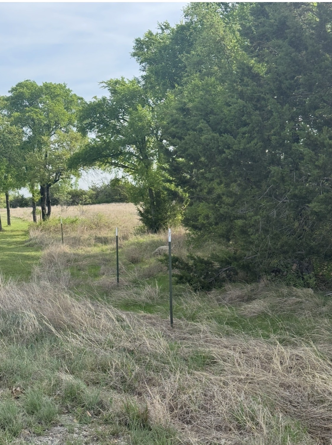 1016 Spring Ranch Drive Weatherford TX 76088